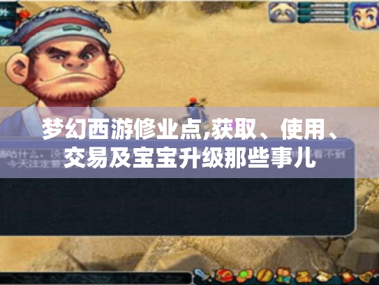 梦幻西游修业点,获取、使用、交易及宝宝升级那些事儿 梦幻西游修业点,获取、使用、交易及宝宝升级那些事儿
