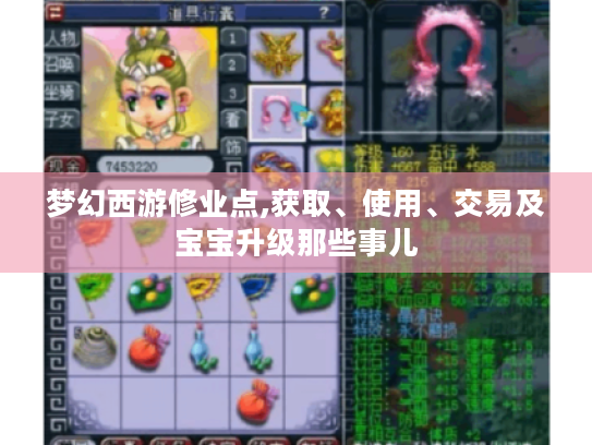 梦幻西游修业点,获取、使用、交易及宝宝升级那些事儿 梦幻西游修业点,获取、使用、交易及宝宝升级那些事儿