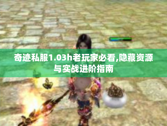 奇迹私服1.03h老玩家必看,隐藏资源与实战进阶指南 奇迹私服1.03h老玩家必看,隐藏资源与实战进阶指南