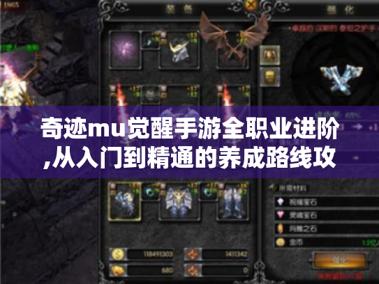 奇迹mu觉醒手游全职业进阶,从入门到精通的养成路线攻略! 奇迹mu觉醒手游全职业进阶,从入门到精通的养成路线攻略!