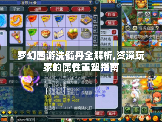 梦幻西游洗髓丹全解析,资深玩家的属性重塑指南 梦幻西游洗髓丹全解析,资深玩家的属性重塑指南