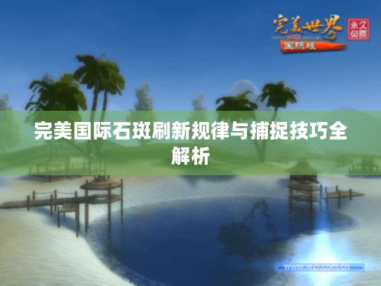 完美国际石斑刷新规律与捕捉技巧全解析 完美国际石斑刷新规律与捕捉技巧全解析