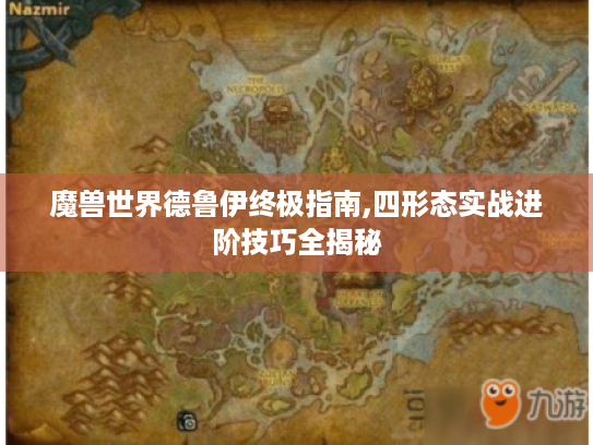 魔兽世界德鲁伊终极指南,四形态实战进阶技巧全揭秘