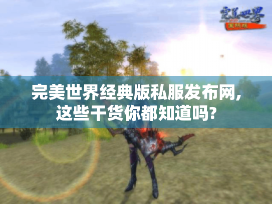 完美世界经典版私服发布网,这些干货你都知道吗? 完美世界经典版私服发布网,这些干货你都知道吗?