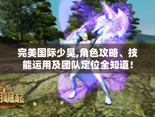 完美国际少昊,角色攻略、技能运用及团队定位全知道! 完美国际少昊,角色攻略、技能运用及团队定位全知道!