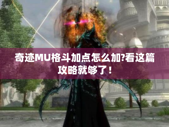 奇迹MU格斗加点怎么加?看这篇攻略就够了! 奇迹MU格斗加点怎么加?看这篇攻略就够了!