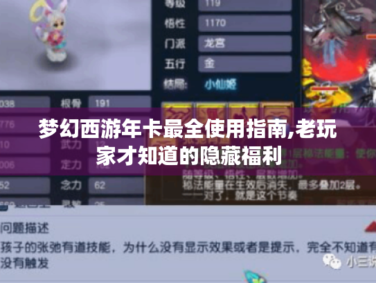 梦幻西游年卡最全使用指南,老玩家才知道的隐藏福利 梦幻西游年卡最全使用指南,老玩家才知道的隐藏福利