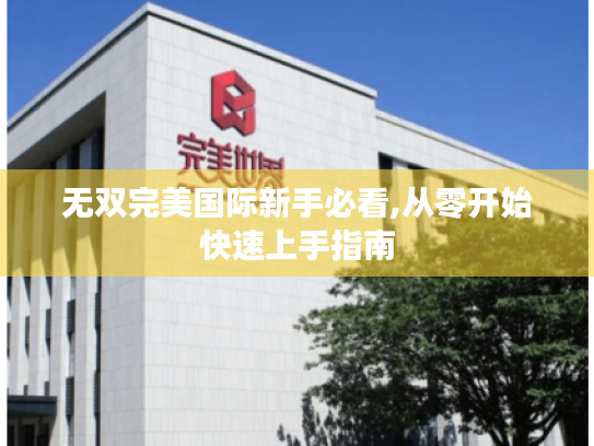 无双完美国际新手必看,从零开始快速上手指南 无双完美国际新手必看,从零开始快速上手指南