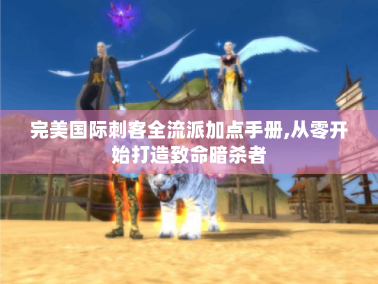 完美国际刺客全流派加点手册,从零开始打造致命暗杀者 完美国际刺客全流派加点手册,从零开始打造致命暗杀者