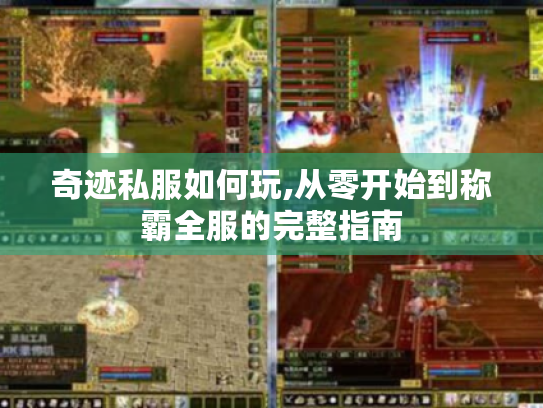 奇迹私服如何玩,从零开始到称霸全服的完整指南 奇迹私服如何玩,从零开始到称霸全服的完整指南
