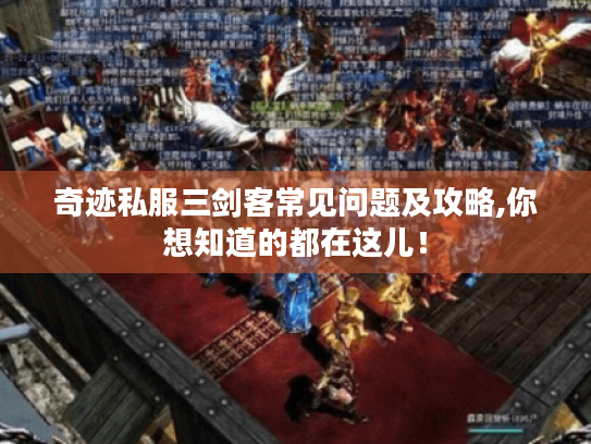 奇迹私服三剑客常见问题及攻略,你想知道的都在这儿！