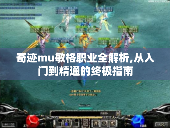 奇迹mu敏格职业全解析,从入门到精通的终极指南 奇迹mu敏格职业全解析,从入门到精通的终极指南
