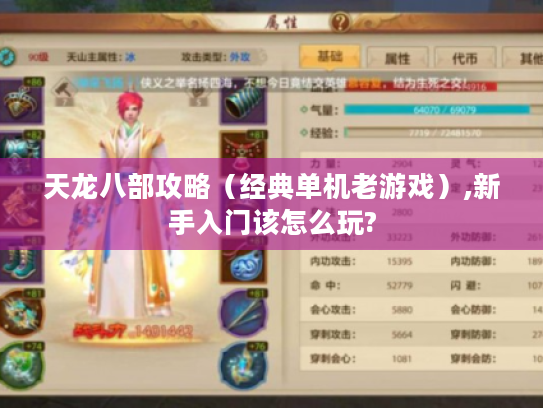 天龙八部攻略（经典单机老游戏）,新手入门该怎么玩?