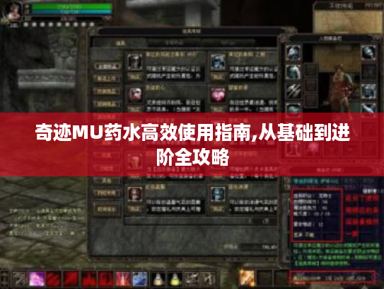 奇迹MU药水高效使用指南,从基础到进阶全攻略 奇迹MU药水高效使用指南,从基础到进阶全攻略