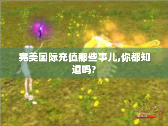 完美国际充值那些事儿,你都知道吗? 完美国际充值那些事儿,你都知道吗?