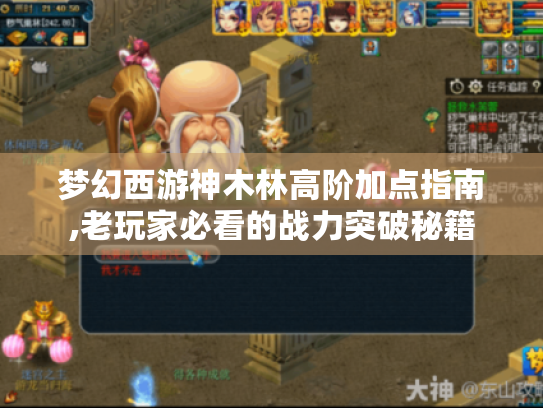 梦幻西游神木林高阶加点指南,老玩家必看的战力突破秘籍 梦幻西游神木林高阶加点指南,老玩家必看的战力突破秘籍
