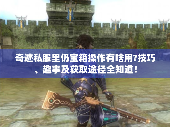 奇迹私服里仍宝箱操作有啥用?技巧、趣事及获取途径全知道! 奇迹私服里仍宝箱操作有啥用?技巧、趣事及获取途径全知道!
