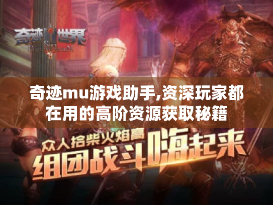 奇迹mu游戏助手,资深玩家都在用的高阶资源获取秘籍 奇迹mu游戏助手,资深玩家都在用的高阶资源获取秘籍