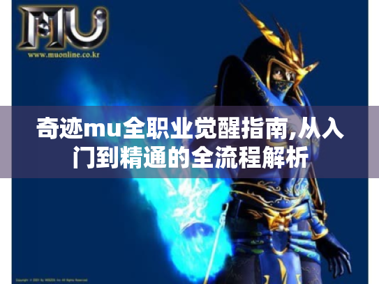 奇迹mu全职业觉醒指南,从入门到精通的全流程解析 奇迹mu全职业觉醒指南,从入门到精通的全流程解析