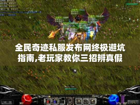 全民奇迹私服发布网终极避坑指南,老玩家教你三招辨真假 全民奇迹私服发布网终极避坑指南,老玩家教你三招辨真假