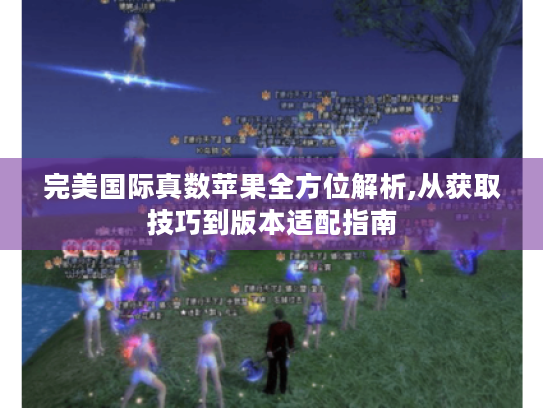 完美国际真数苹果全方位解析,从获取技巧到版本适配指南 完美国际真数苹果全方位解析,从获取技巧到版本适配指南