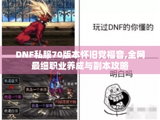 DNF私服70版本怀旧党福音,全网最细职业养成与副本攻略 DNF私服70版本怀旧党福音,全网最细职业养成与副本攻略