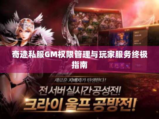 奇迹私服GM权限管理与玩家服务终极指南 奇迹私服GM权限管理与玩家服务终极指南
