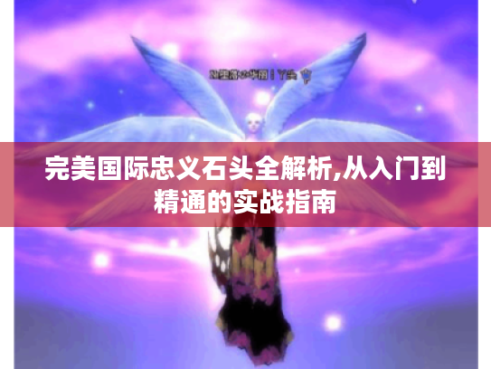 完美国际忠义石头全解析,从入门到精通的实战指南