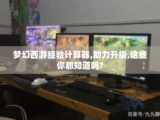 梦幻西游经验计算器,助力升级,这些你都知道吗?