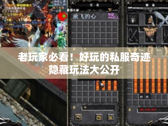 老玩家必看!好玩的私服奇迹隐藏玩法大公开 老玩家必看!好玩的私服奇迹隐藏玩法大公开