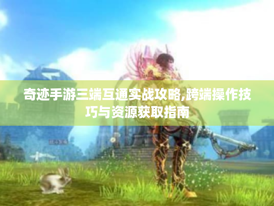 奇迹手游三端互通实战攻略,跨端操作技巧与资源获取指南 奇迹手游三端互通实战攻略,跨端操作技巧与资源获取指南