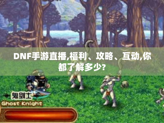 DNF手游直播,福利、攻略、互动,你都了解多少? DNF手游直播,福利、攻略、互动,你都了解多少?