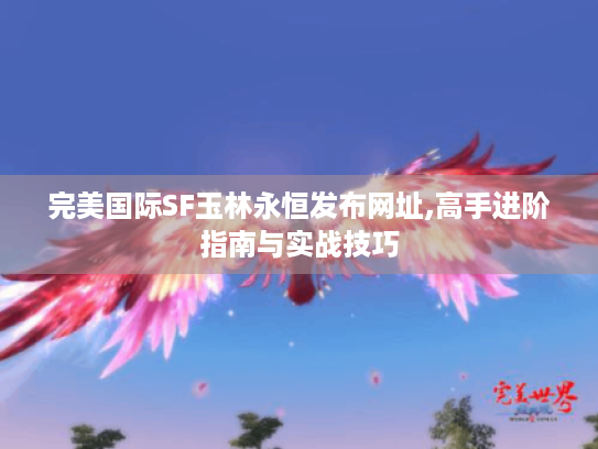 完美国际SF玉林永恒发布网址,高手进阶指南与实战技巧 完美国际SF玉林永恒发布网址,高手进阶指南与实战技巧