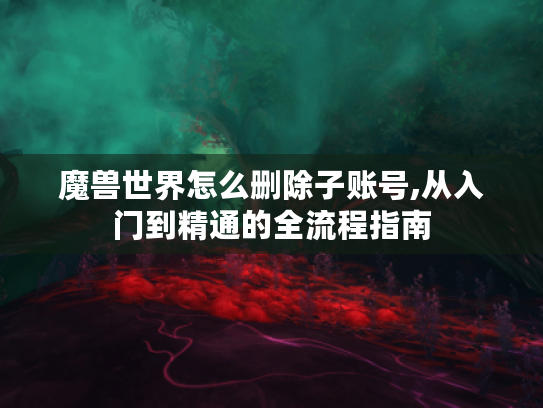 魔兽世界怎么删除子账号,从入门到精通的全流程指南 魔兽世界怎么删除子账号,从入门到精通的全流程指南