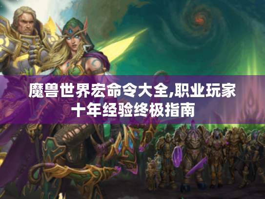 魔兽世界宏命令大全,职业玩家十年经验终极指南 魔兽世界宏命令大全,职业玩家十年经验终极指南