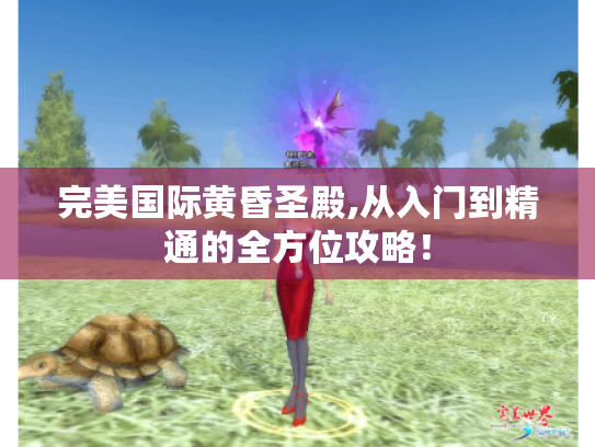 完美国际黄昏圣殿,从入门到精通的全方位攻略! 完美国际黄昏圣殿,从入门到精通的全方位攻略!