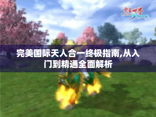 完美国际天人合一终极指南,从入门到精通全面解析 完美国际天人合一终极指南,从入门到精通全面解析