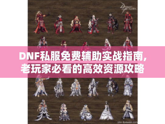 DNF私服免费辅助实战指南,老玩家必看的高效资源攻略 DNF私服免费辅助实战指南,老玩家必看的高效资源攻略