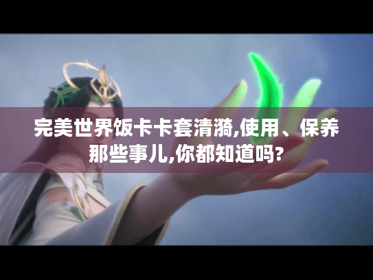 完美世界饭卡卡套清漪,使用、保养那些事儿,你都知道吗?