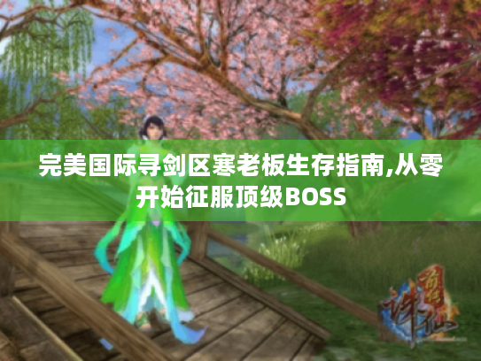 完美国际寻剑区寒老板生存指南,从零开始征服顶级BOSS