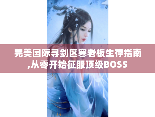 完美国际寻剑区寒老板生存指南,从零开始征服顶级BOSS