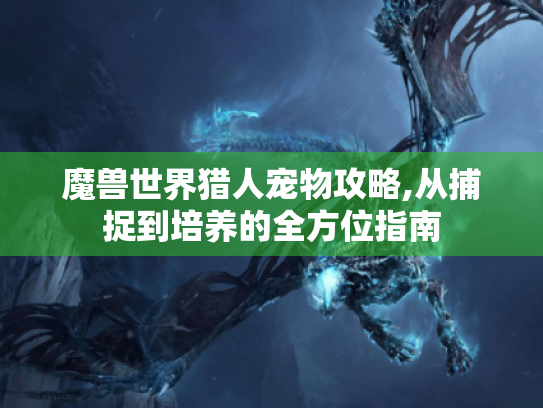 魔兽世界猎人宠物攻略,从捕捉到培养的全方位指南 魔兽世界猎人宠物攻略,从捕捉到培养的全方位指南