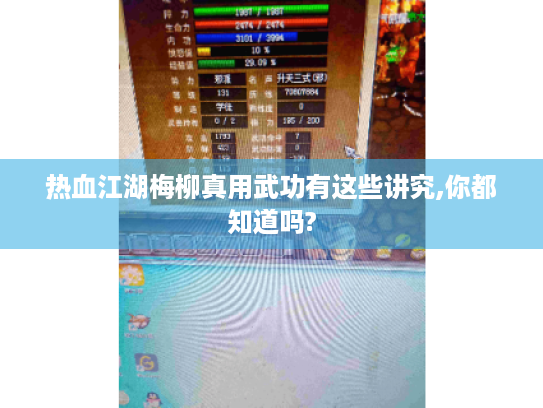 热血江湖梅柳真用武功有这些讲究,你都知道吗? 热血江湖梅柳真用武功有这些讲究,你都知道吗?