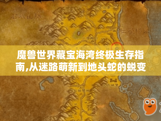 魔兽世界藏宝海湾终极生存指南,从迷路萌新到地头蛇的蜕变之路