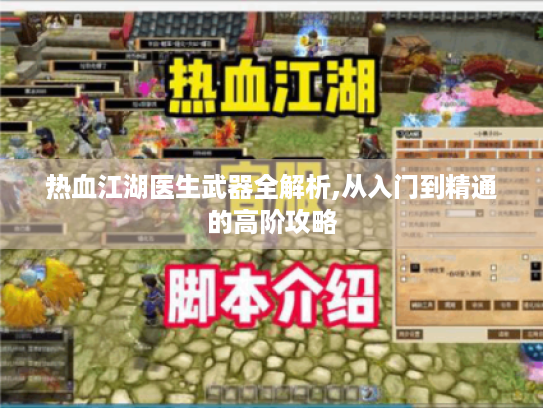 热血江湖医生武器全解析,从入门到精通的高阶攻略 热血江湖医生武器全解析,从入门到精通的高阶攻略
