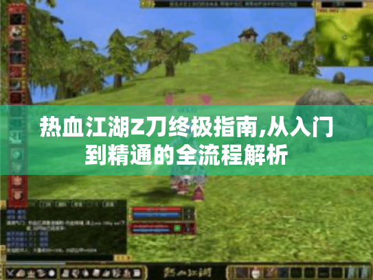 热血江湖Z刀终极指南,从入门到精通的全流程解析 热血江湖Z刀终极指南,从入门到精通的全流程解析