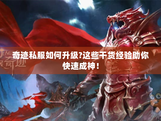 奇迹私服如何升级?这些干货经验助你快速成神! 奇迹私服如何升级?这些干货经验助你快速成神!
