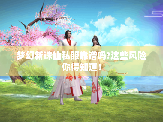 梦幻新诛仙私服靠谱吗?这些风险你得知道! 梦幻新诛仙私服靠谱吗?这些风险你得知道!