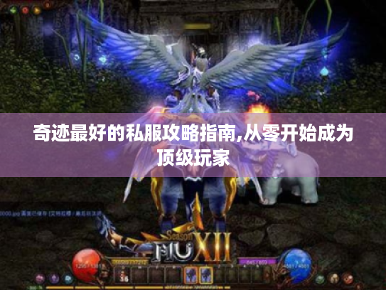 奇迹最好的私服攻略指南,从零开始成为顶级玩家 奇迹最好的私服攻略指南,从零开始成为顶级玩家