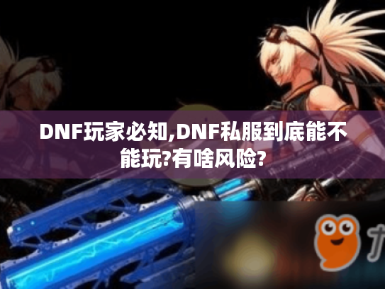 DNF玩家必知,DNF私服到底能不能玩?有啥风险? DNF玩家必知,DNF私服到底能不能玩?有啥风险?
